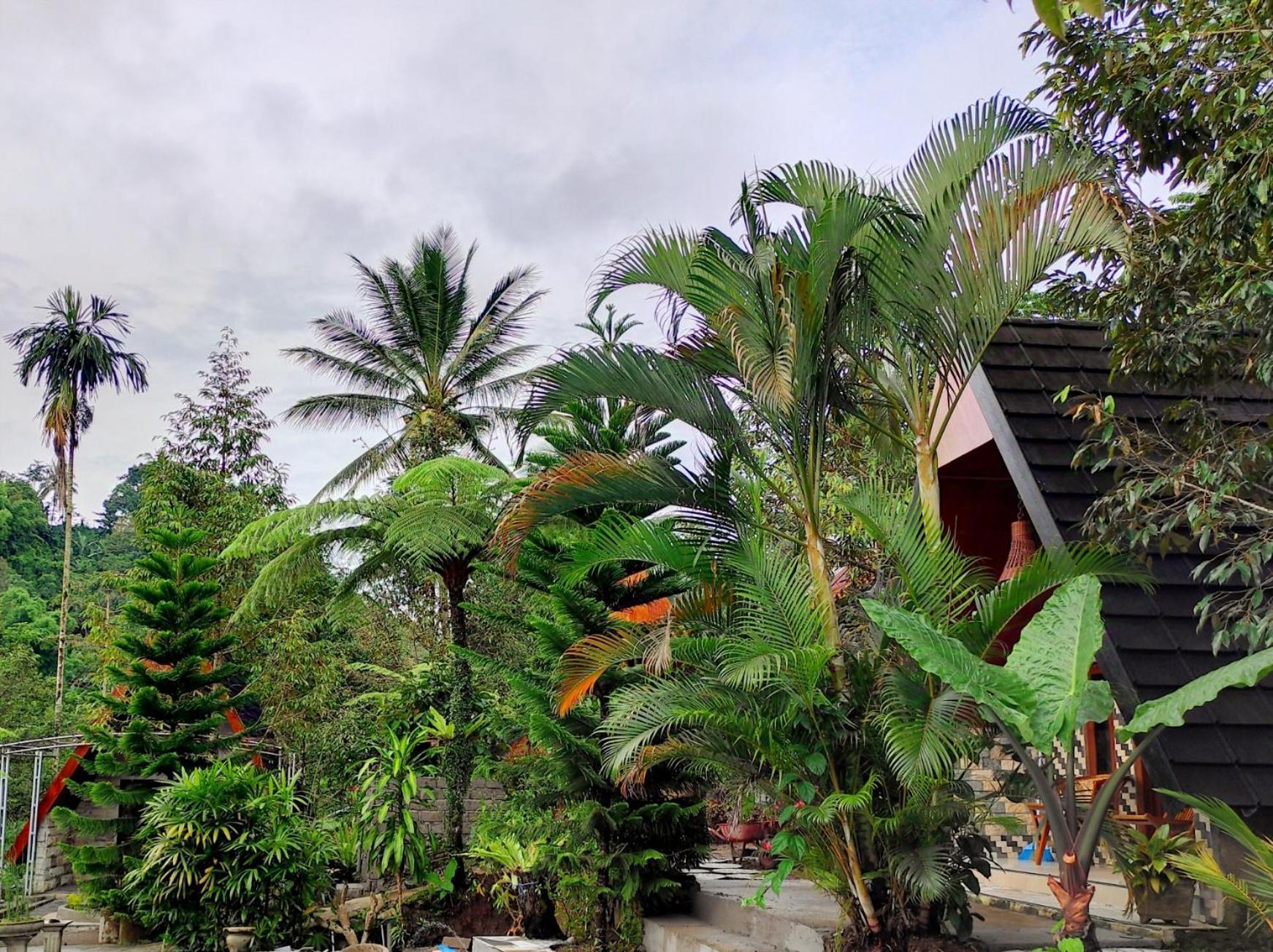 Goa Walet Cottage Praya Exterior foto